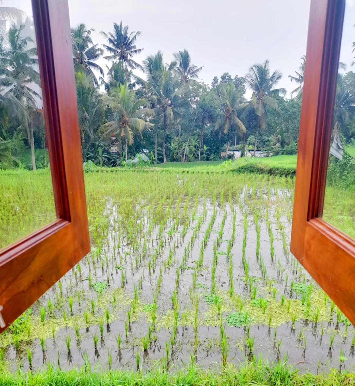As I Am Ubud Retreat Camera foto