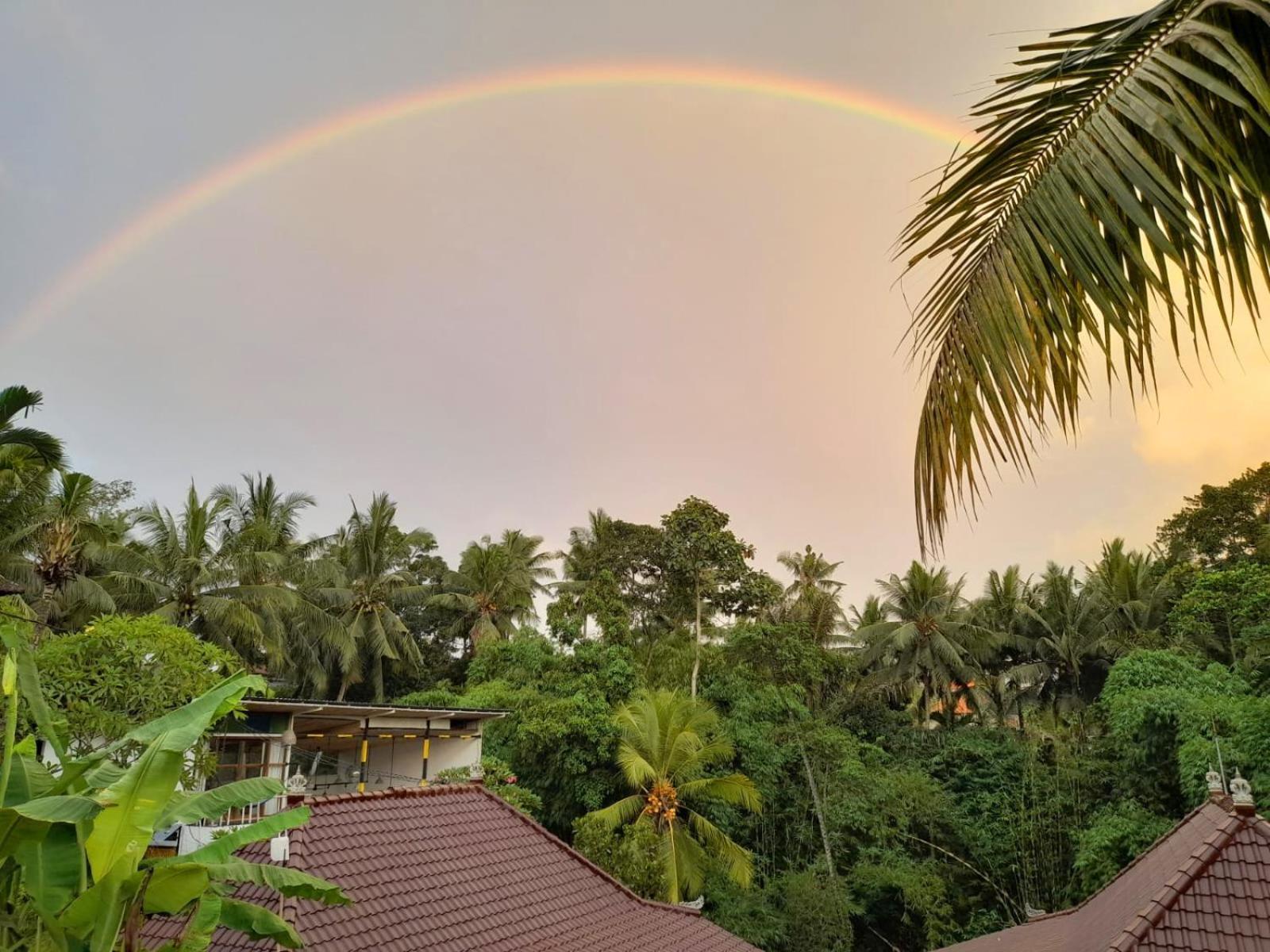 As I Am Ubud Retreat Esterno foto